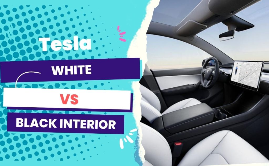Tesla White vs. Black Interior