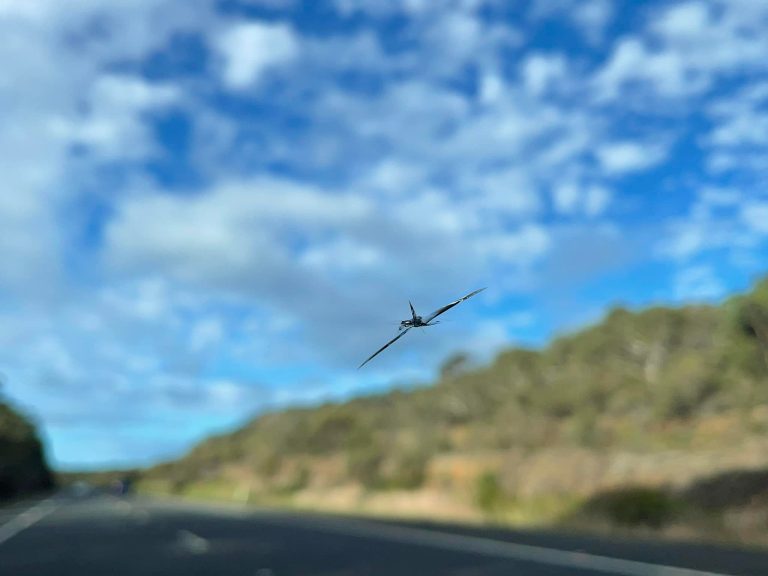 Tesla's Cracked Windshield Everything You Should Know EV Motors and