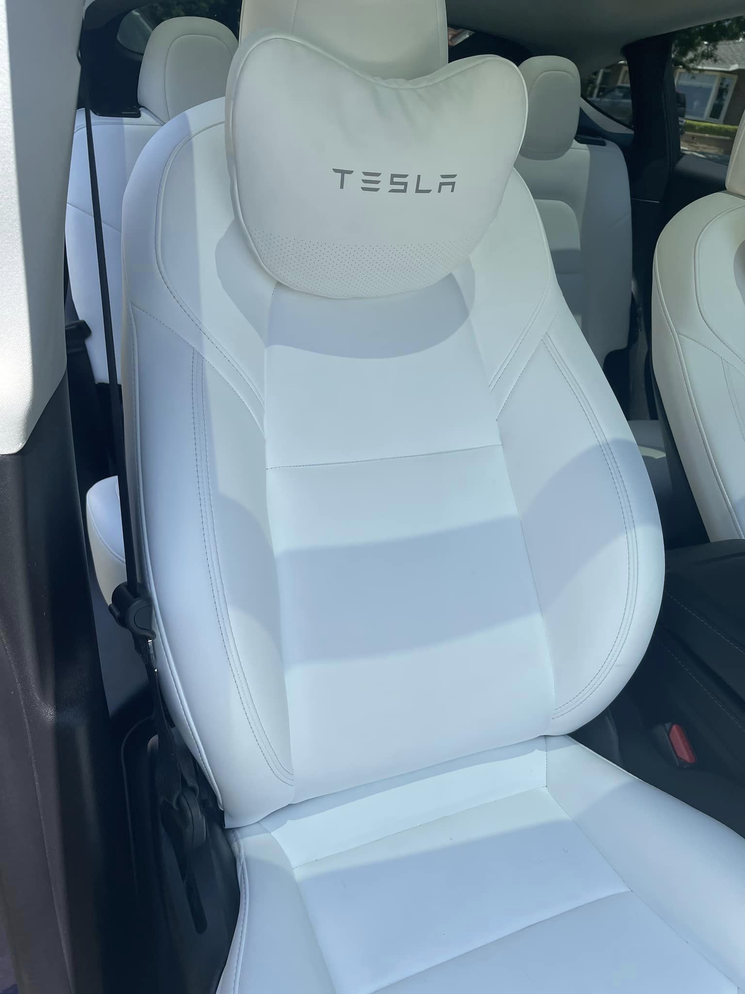 TesLiner Tesla Seat Cleaner for White, Black, Cream Vegan Leather, Helps  with Blue Dye, Stains, Safe on All Surfaces, Interior Cleaner for Model 3 Y  S X