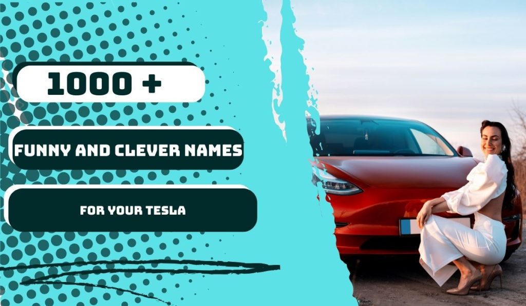 1000 funny and clever tesla names